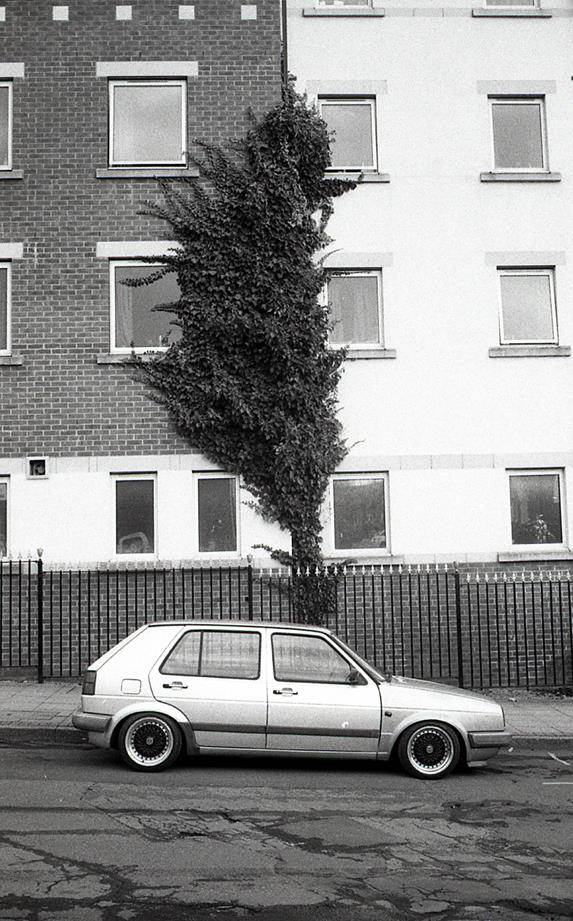 Volkswagen Golf being overshadowed by Ivy growing up a wall