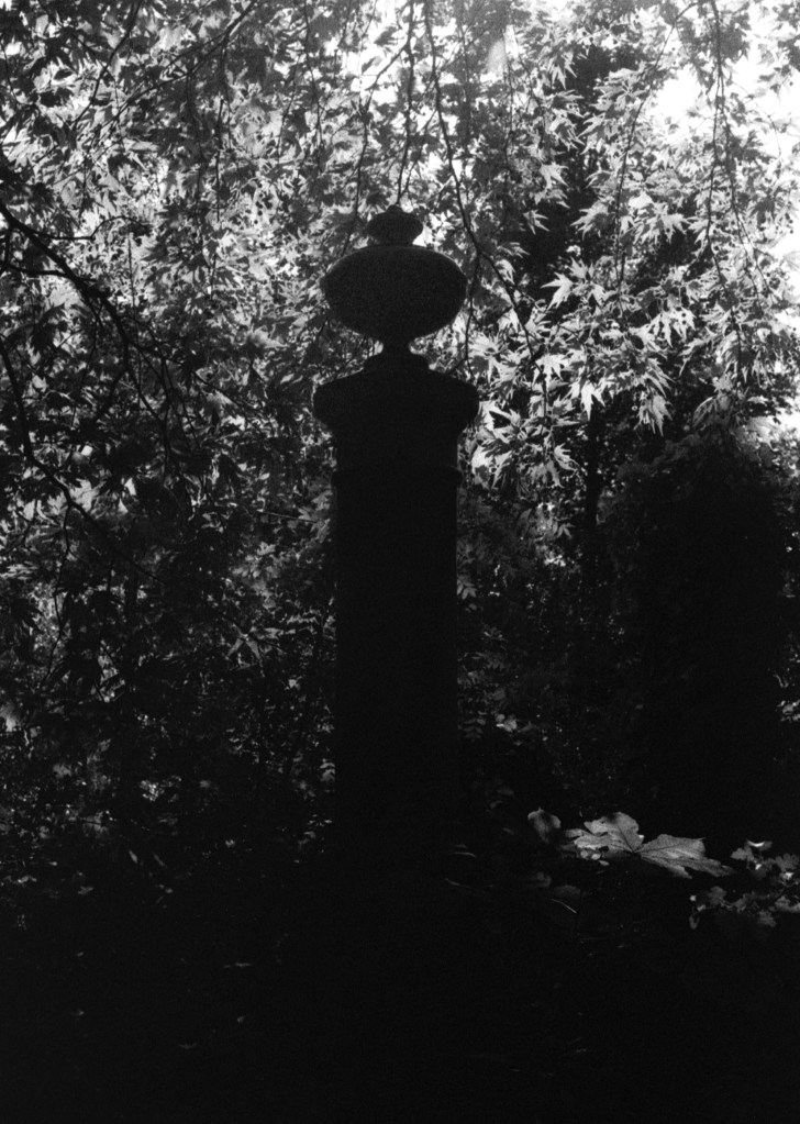 Monument with Urn under backlit trees, Sheffield General Cemetery