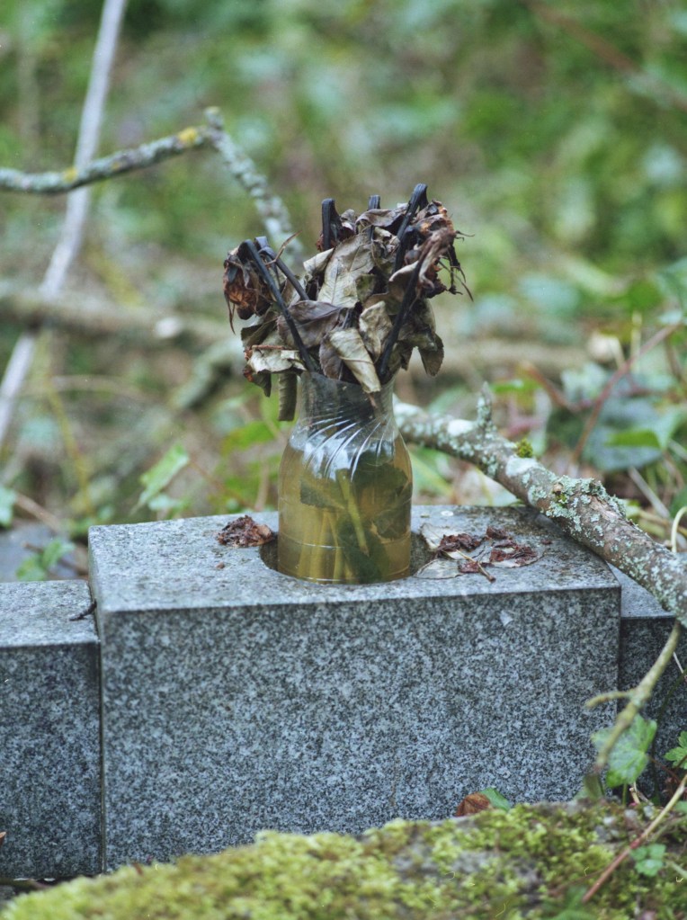 Withered flowers, Sheffield General Cemetery