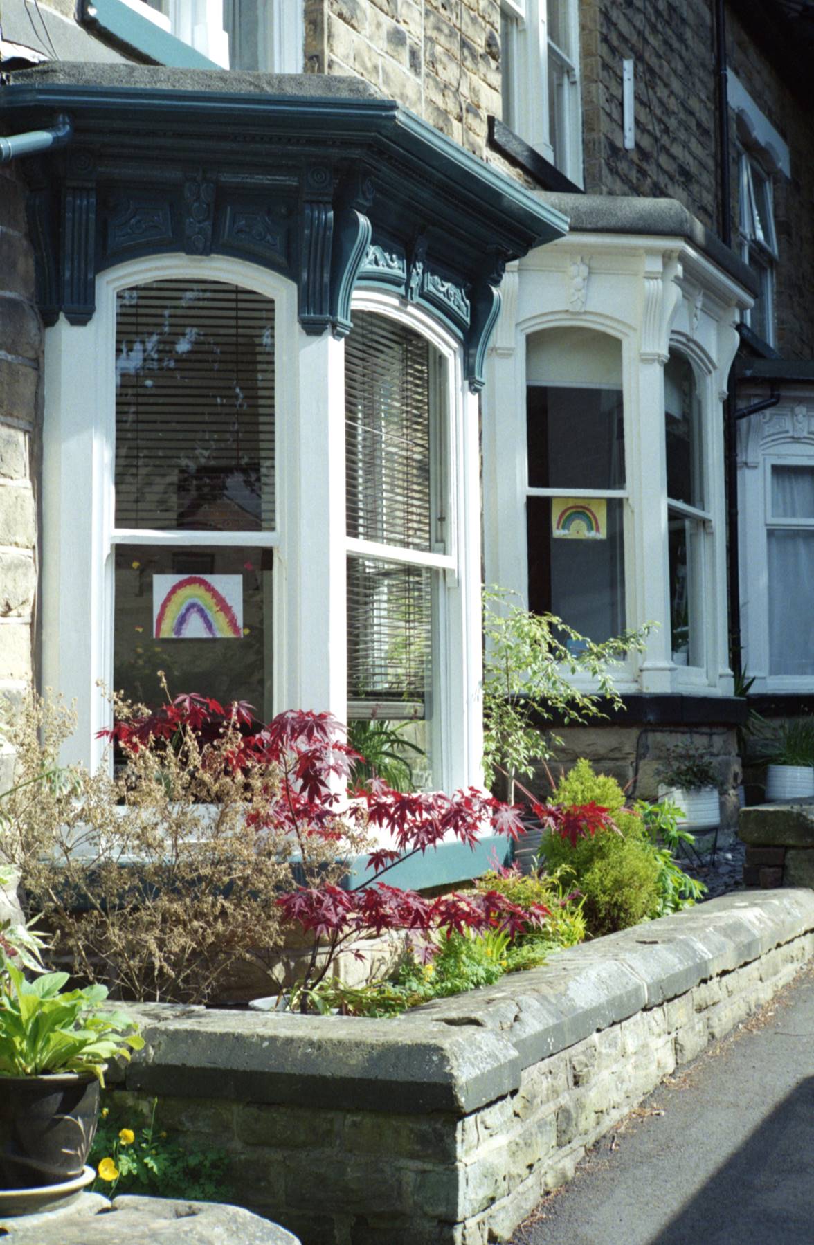 Rainbows displayed in peoples windows to show support for NHS and keyworkers