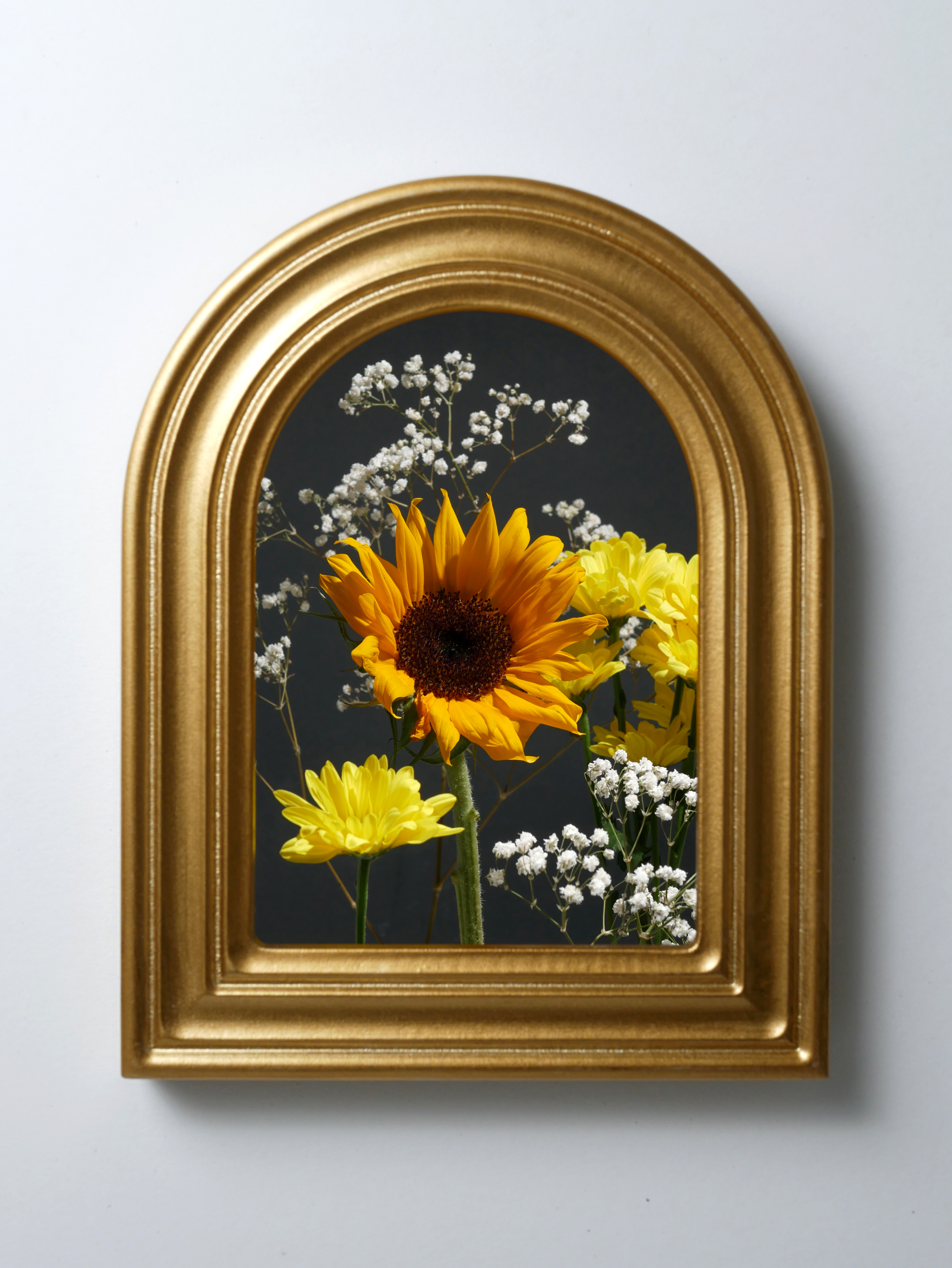 Still life of sunflower framed